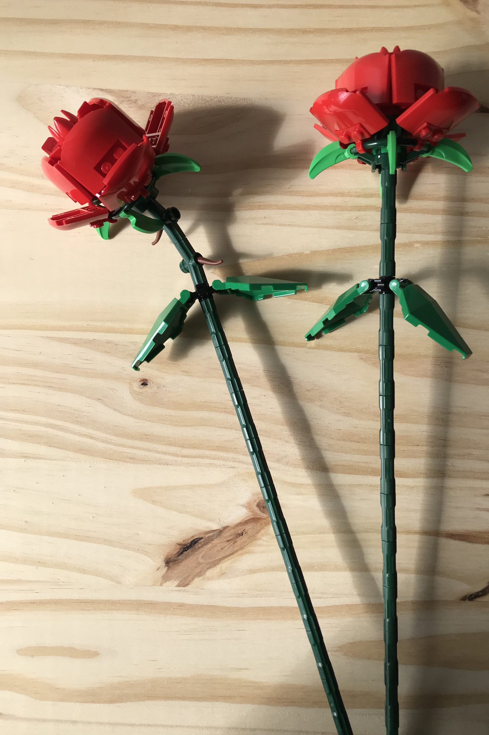 LEGO set: Roses (40460) – curiofloris
