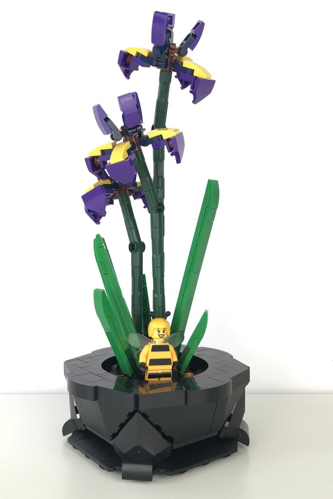 Blooming purple Siberian Iris plant in an ornate black pot, built from LEGO bricks, designed by DoctorOctoroc, with the Bumblebee Girl minifig for scale.