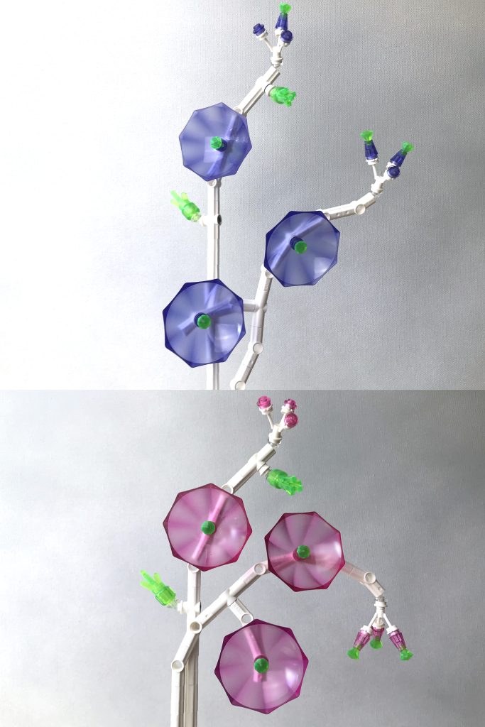 Two photos of LEGO brick-built flowers MOC with white technic stems on a light gray background. The top version has transparent purple umbrellas as flowers with matching buds, and the bottom has transparent dark pink umbrella flowers and buds, both with transparent bright green gem centers and clusters of new leaves.