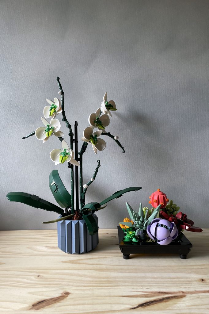 A MOC LEGO orchid with white and green flowers and a LEGO Succulents set in a black MOC pot, both built, are displayed on a light wooden surface in front of a light gray background.