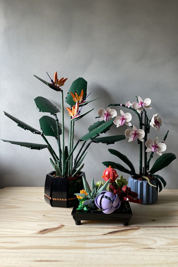 Botanical LEGO Bird of Paradise and Orchid potted plant sets with a potted MOC of the Succulents set, on a wooden surface in front of a light gray background.