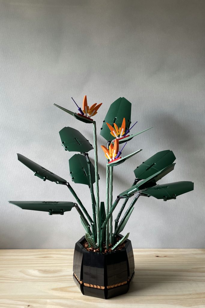 Botanical LEGO Bird of Paradise potted plant set, on a wooden surface in front of a light gray background.