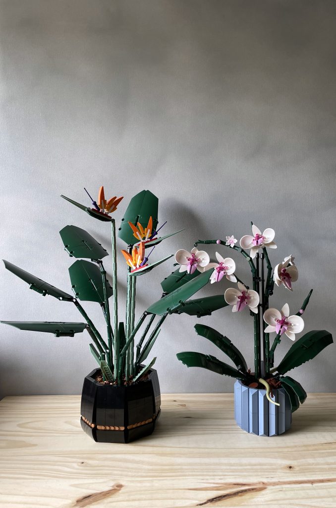 Botanical LEGO Bird of Paradise and Orchid potted plant sets, on a wooden surface in front of a light gray background.