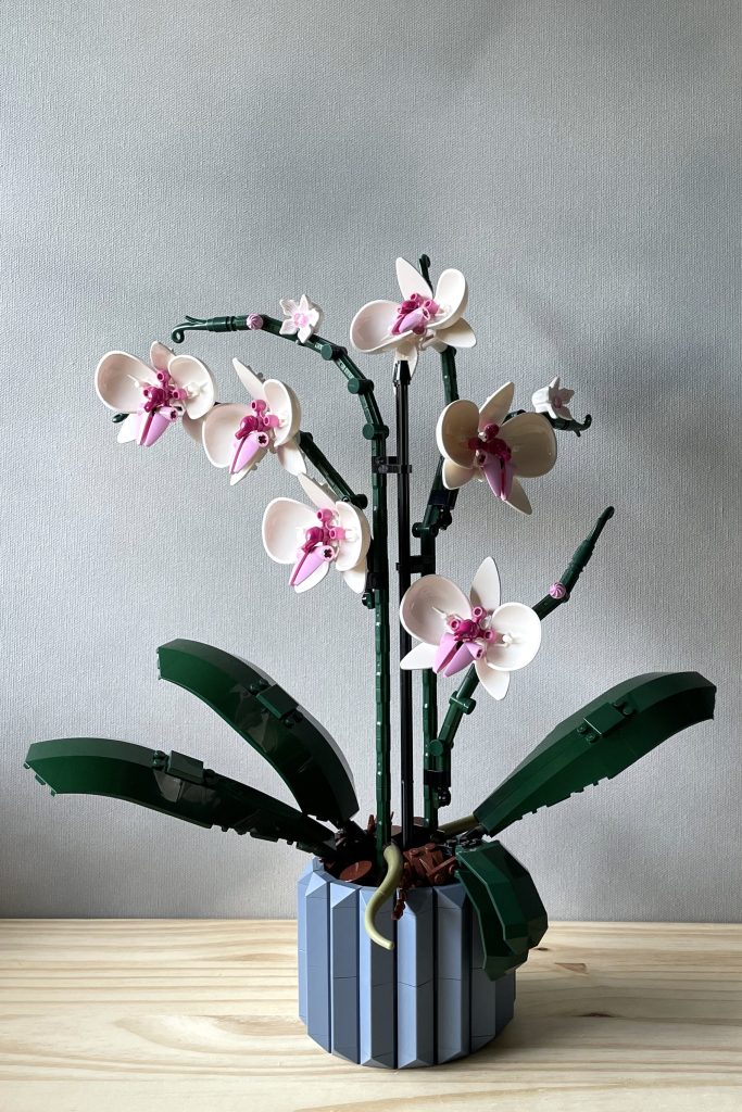 A LEGO Orchid set with white and pink flowers, built, is displayed on a light wooden surface in front of a light gray background.